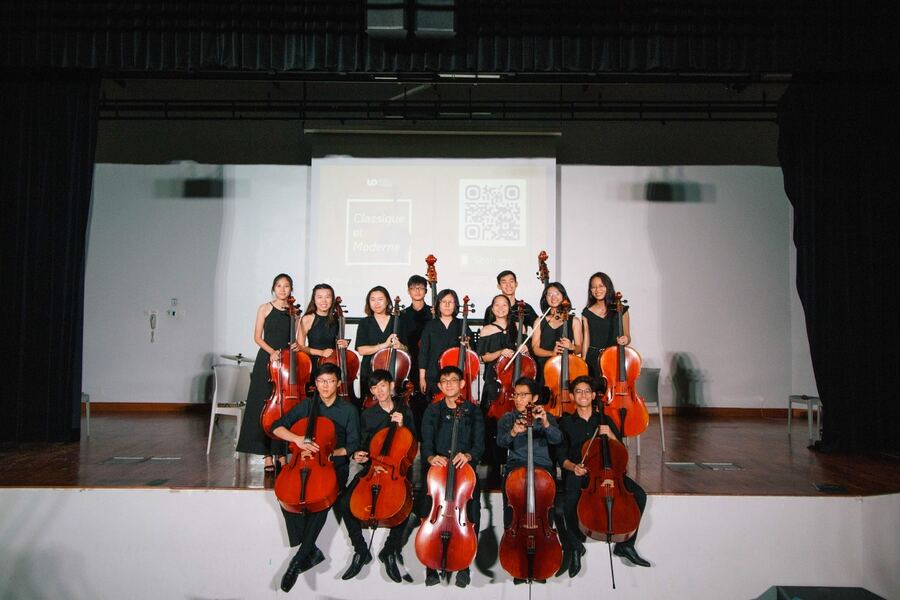 Ensemble of cellists and double bassists posing on stage