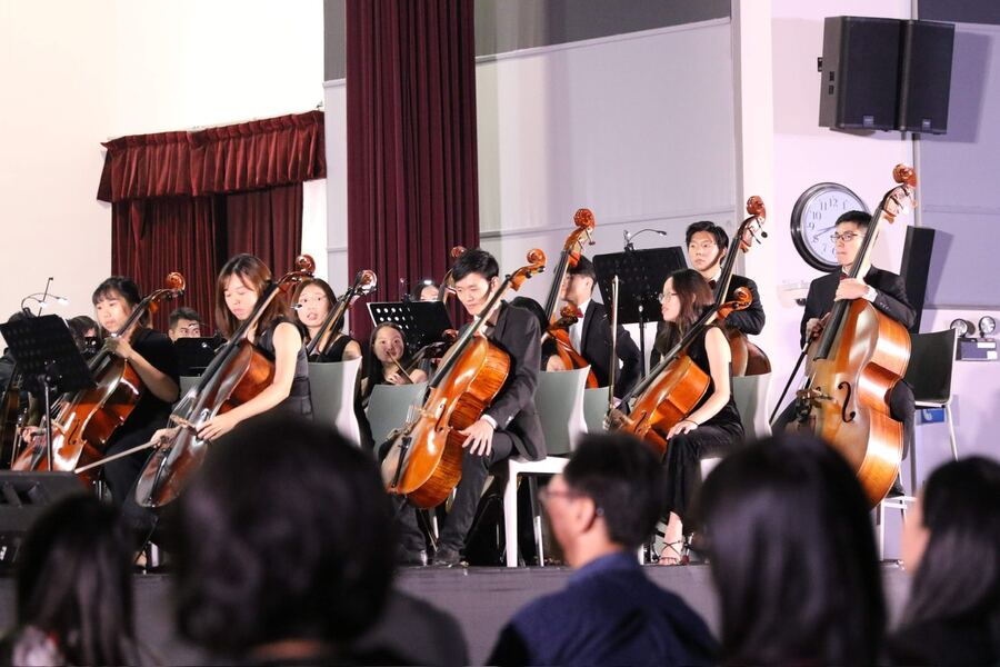 Orchestra mid-performance, with Ventus on double bass at the back right